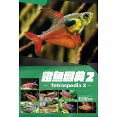 Tetraspedia II  燈魚圖典2