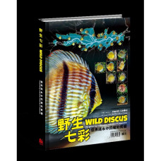 Wild Discus 野生七彩 亞馬遜水中閃耀的寶藏