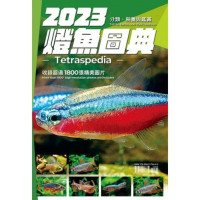 Tetraspedia I 燈魚圖典1